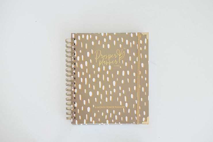 Undated Daily Planner: Speckle