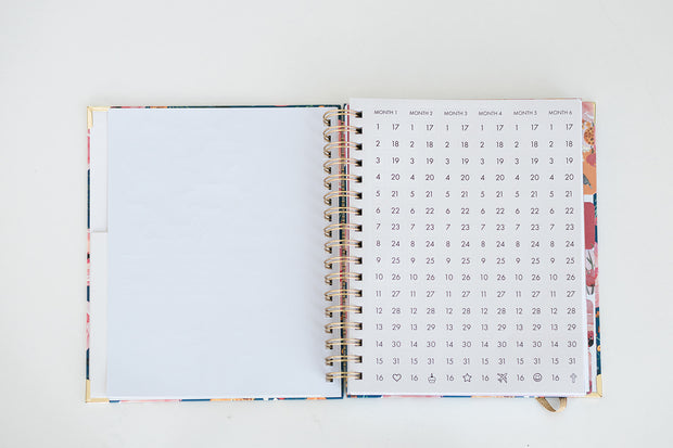 Undated Daily Planner: Speckle